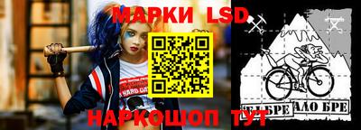 ECSTASY Новодвинск