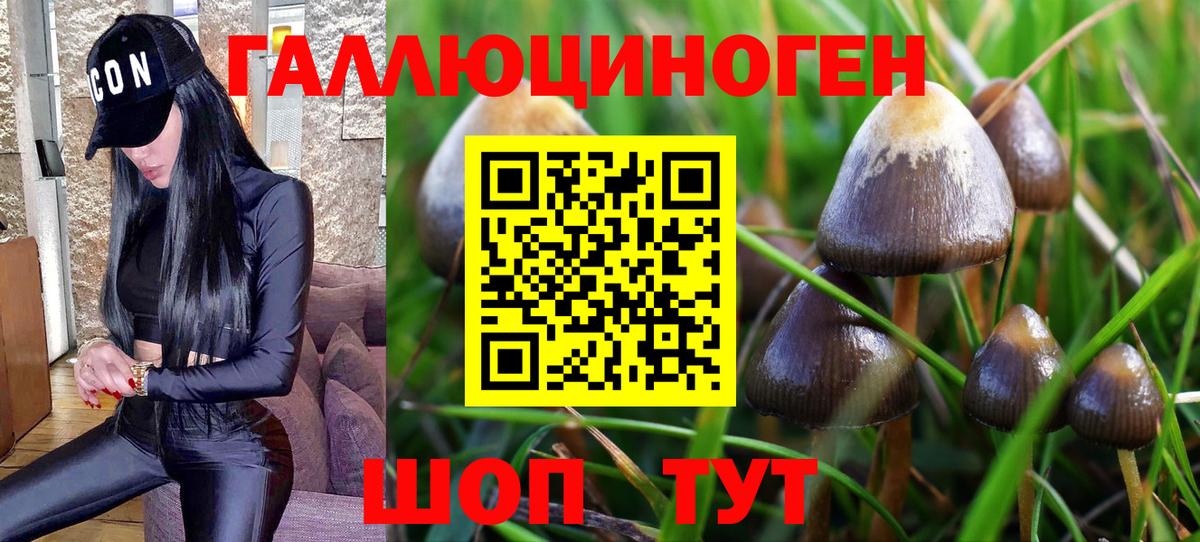 Галлюциногенные грибы MAGIC MUSHROOMS  Вход с VPN  Сорочинск 